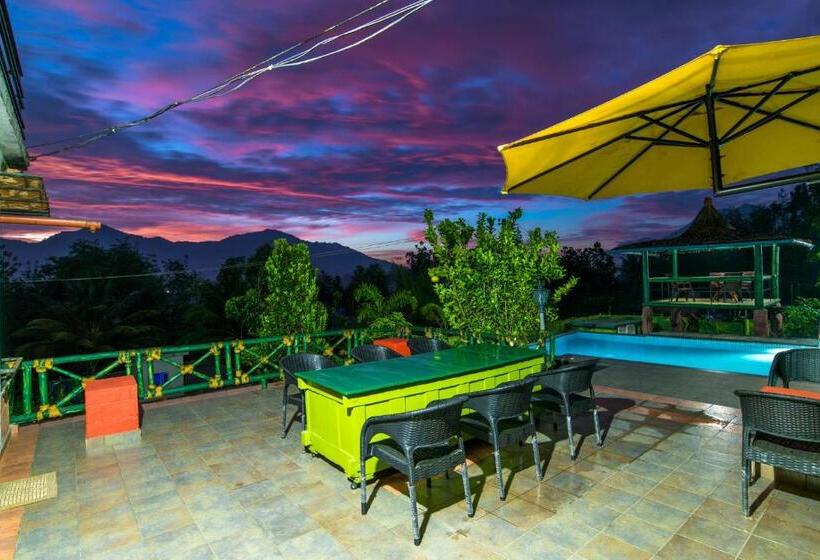 Olives The Boutique Resort