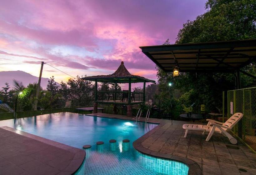 Olives The Boutique Resort