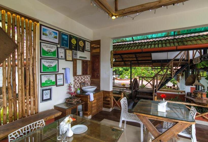 Olives The Boutique Resort