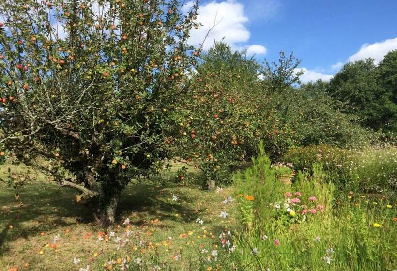 پانسیون Domaine De L Espelette