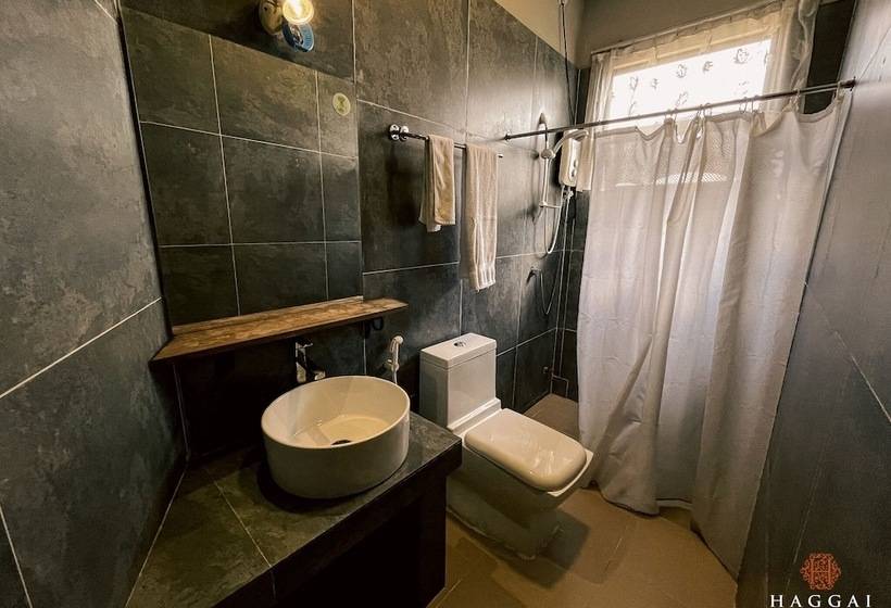 펜션 Haggai   Tourist Bangalow