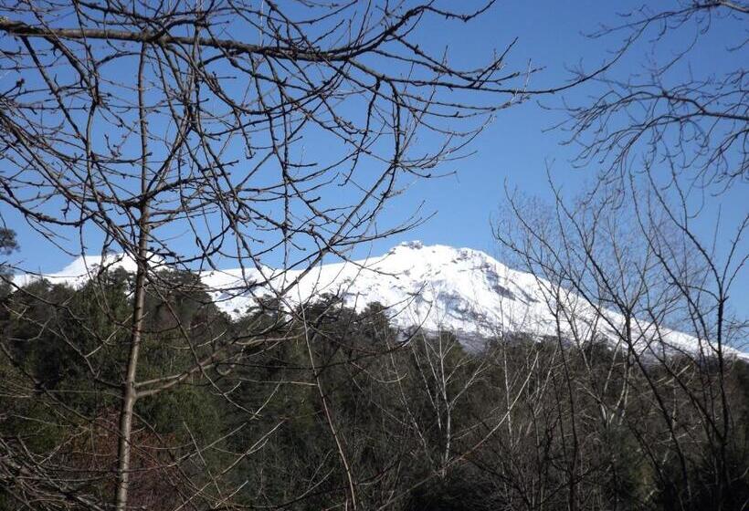 펜션 Hostal Los Alamos Neltume