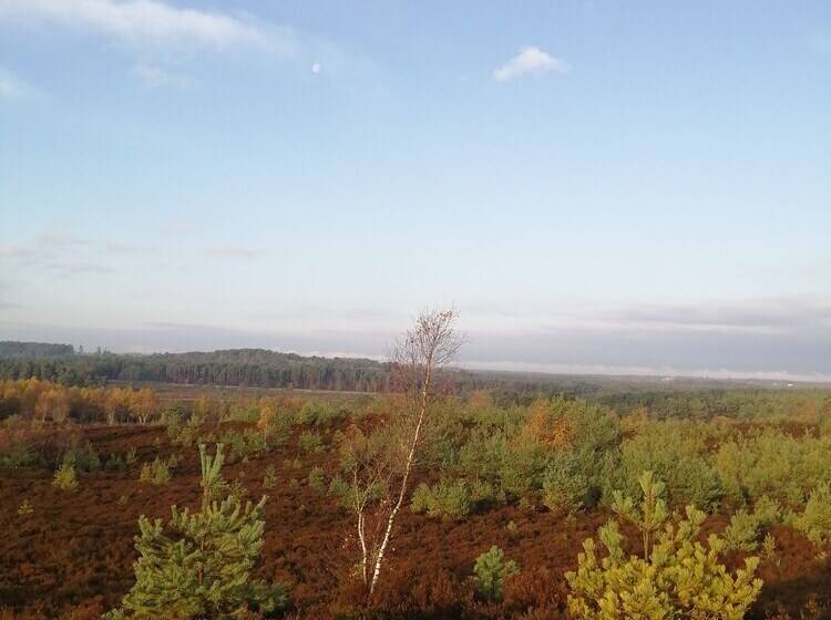 The Old Cook S House