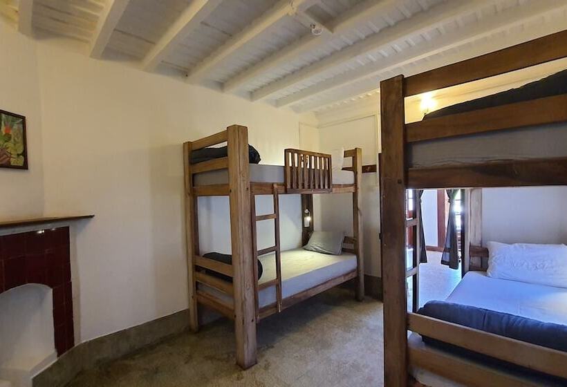 هاستل Zostel Ooty