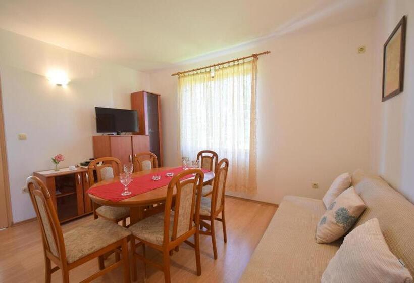 Apartment Anica
