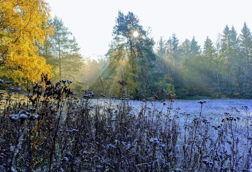 Apartment In Historischem Gebäude