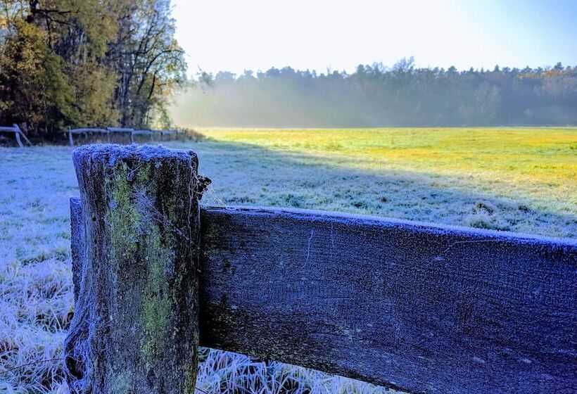Apartment In Historischem Gebäude
