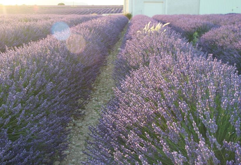 צימר Chambres D Hotes Elisa & Etienne