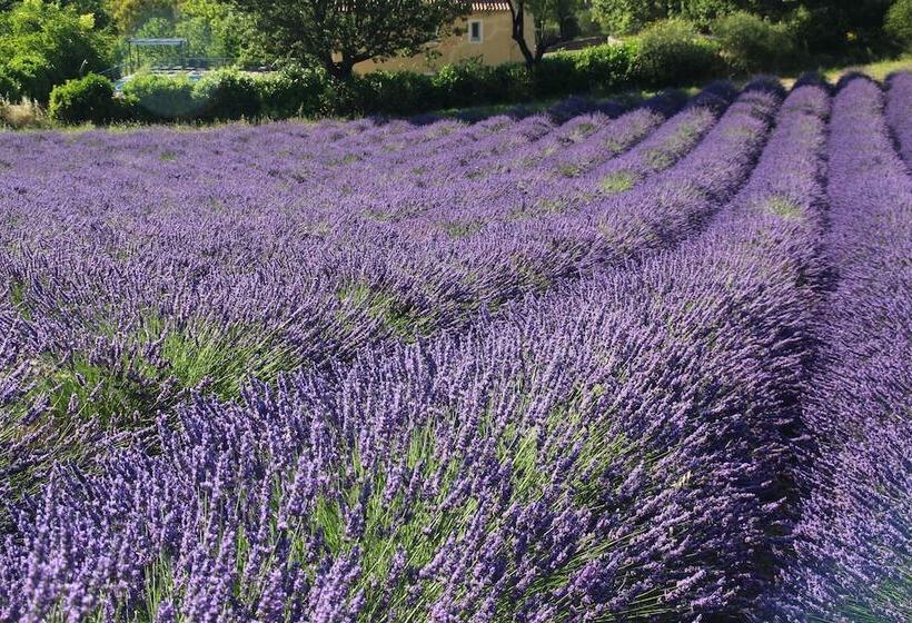 צימר Chambres D Hotes Elisa & Etienne