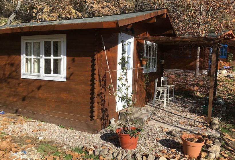 Bed and Breakfast Finca Miraval