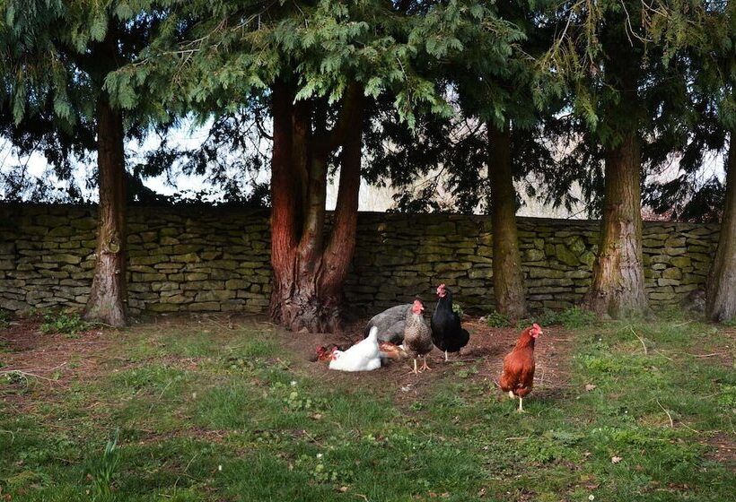 Dove House Cottage 1