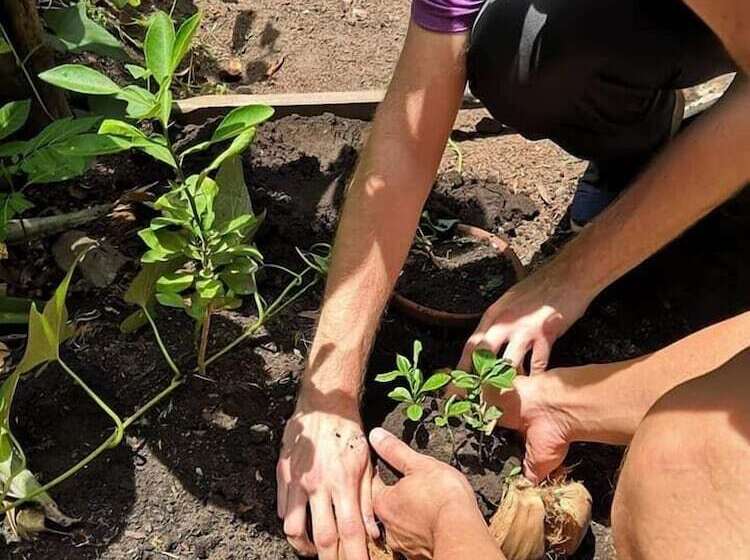 Dream Big Eco Hostel