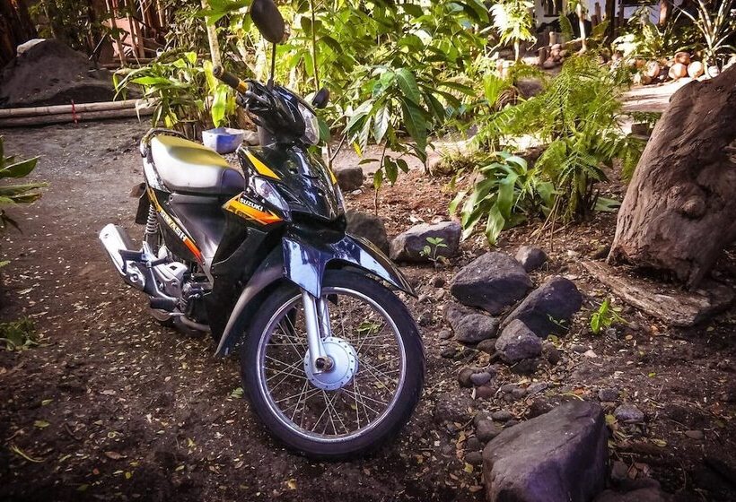 Dream Big Eco Hostel