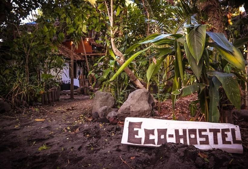 Dream Big Eco Hostel