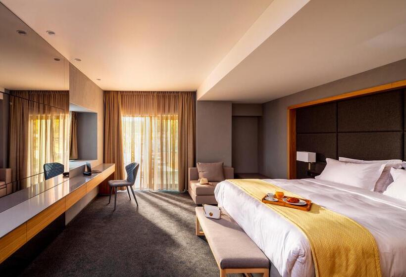 酒店 Mount Athos Resort