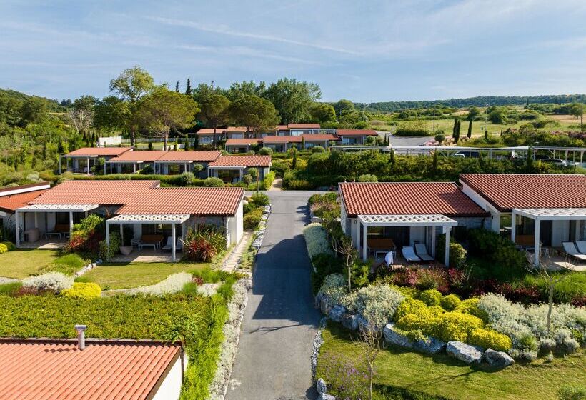 酒店 Mount Athos Resort