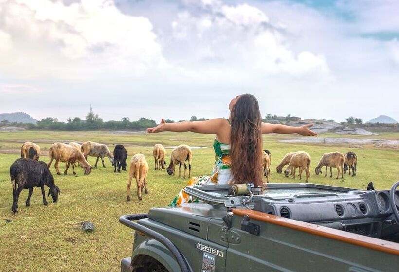 فندق Ranakpur Safari Resort