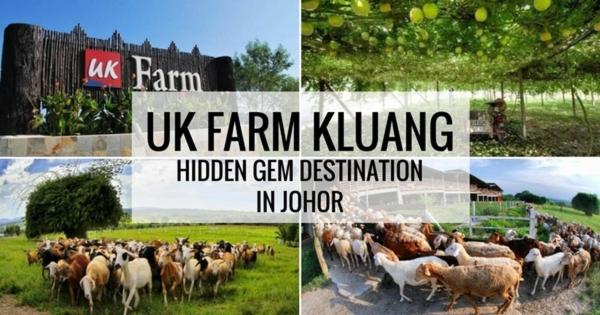 酒店 Uk Farm Agro Resort