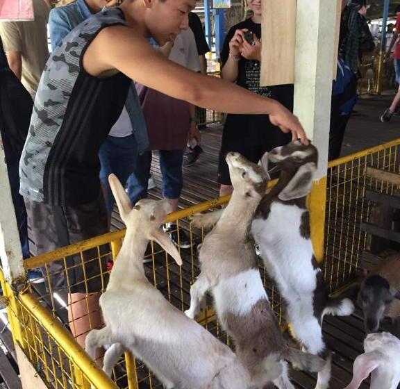 فندق Uk Farm Agro Resort