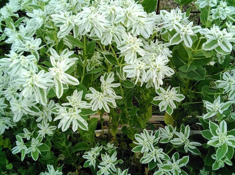 House With 2 Bedrooms In Jaén, With Shared Pool, Enclosed Garden And Wifi