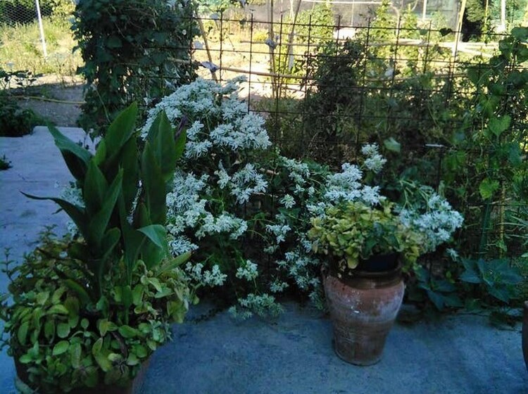 House With 2 Bedrooms In Jaén, With Shared Pool, Enclosed Garden And Wifi