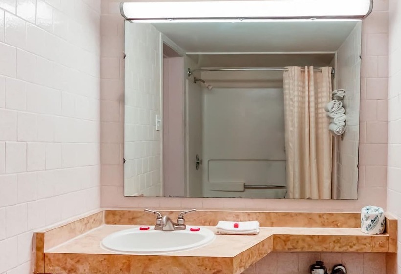 מוטל Alice Tx Hwy 281 West