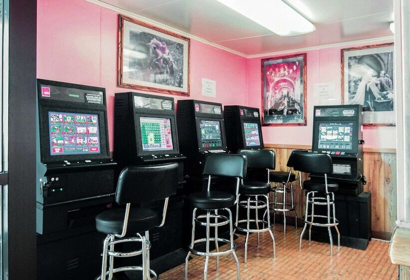 מוטל Alice Tx Hwy 281 West