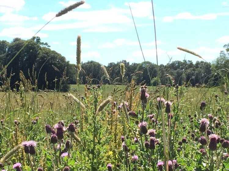 Netherton Farm Lodge