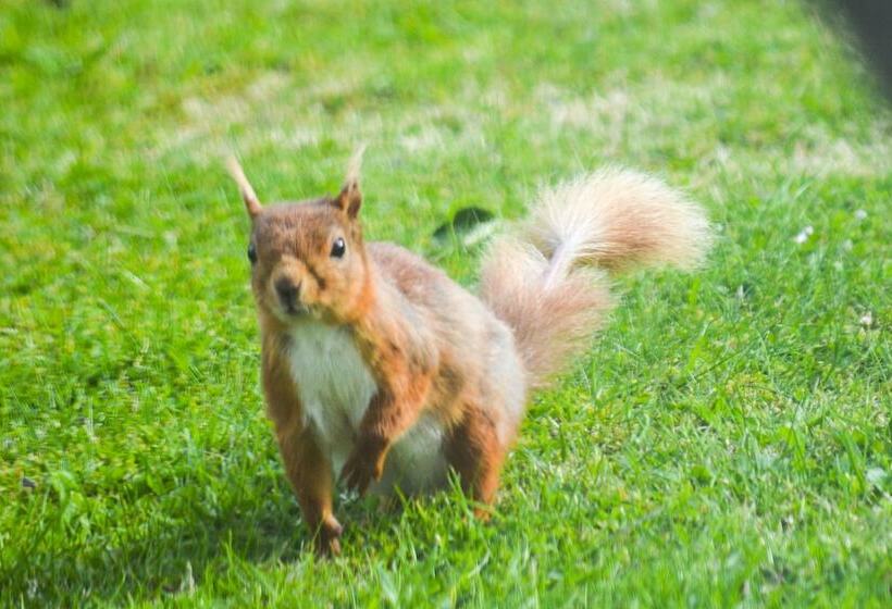 Netherton Farm Lodge