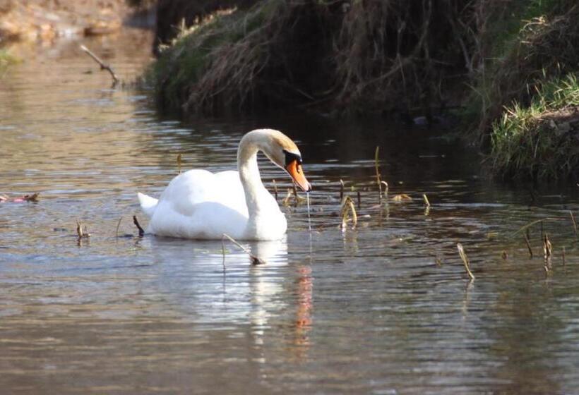 Netherton Farm Lodge