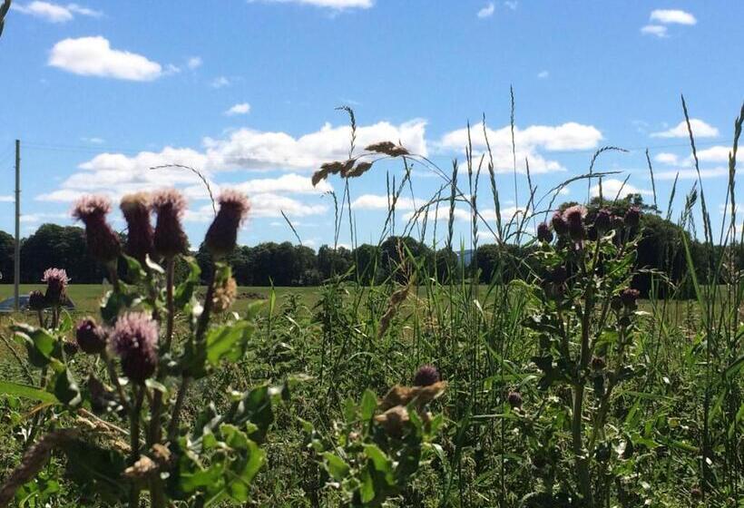 Netherton Farm Lodge