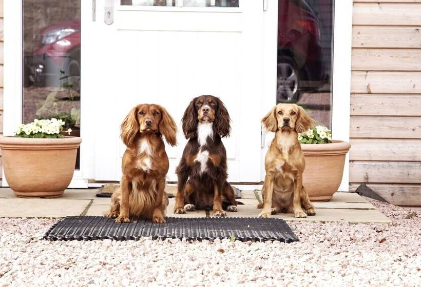 Netherton Farm Lodge