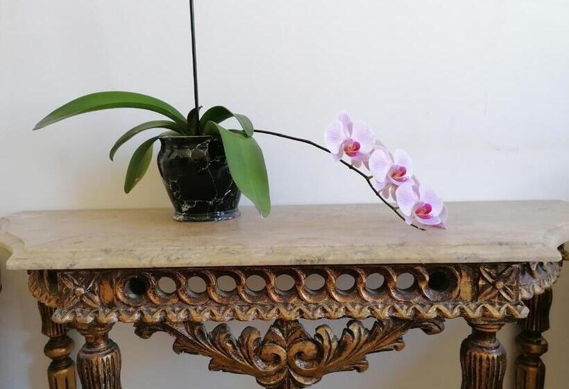 پانسیون Chiado Open World Hostel