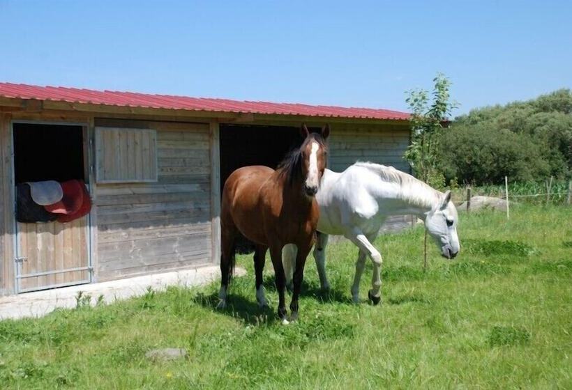 بنسيون Cottage Maison Drogou