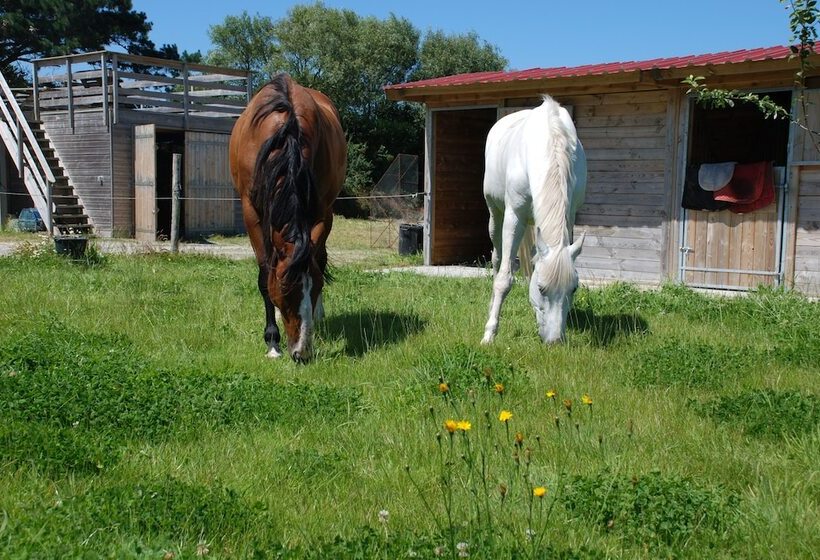 بنسيون Cottage Maison Drogou