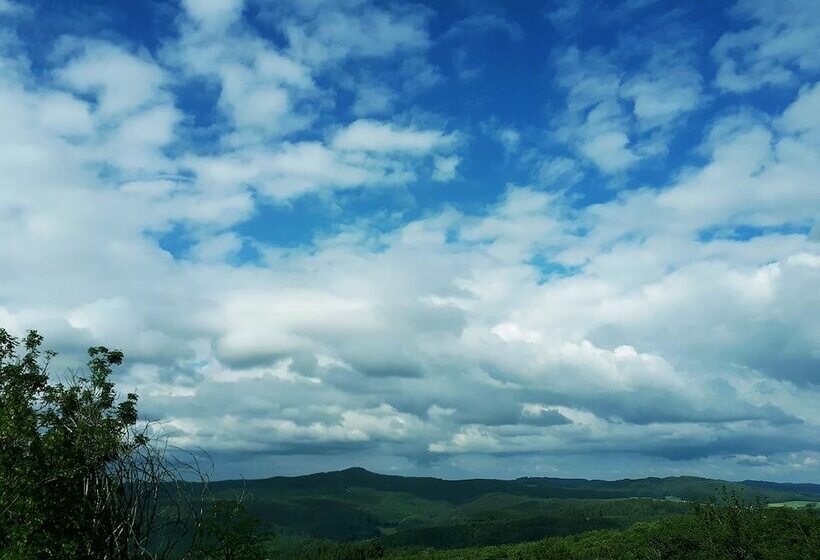 膳宿费 Df Am Ring Nürburg