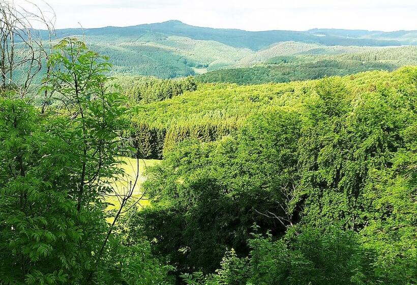 膳宿费 Df Am Ring Nürburg