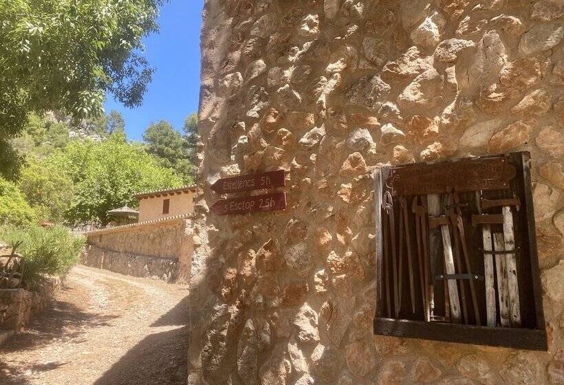 膳宿费 Finca Ses Fontanelles