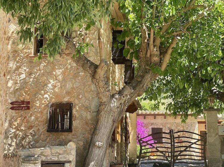 膳宿费 Finca Ses Fontanelles