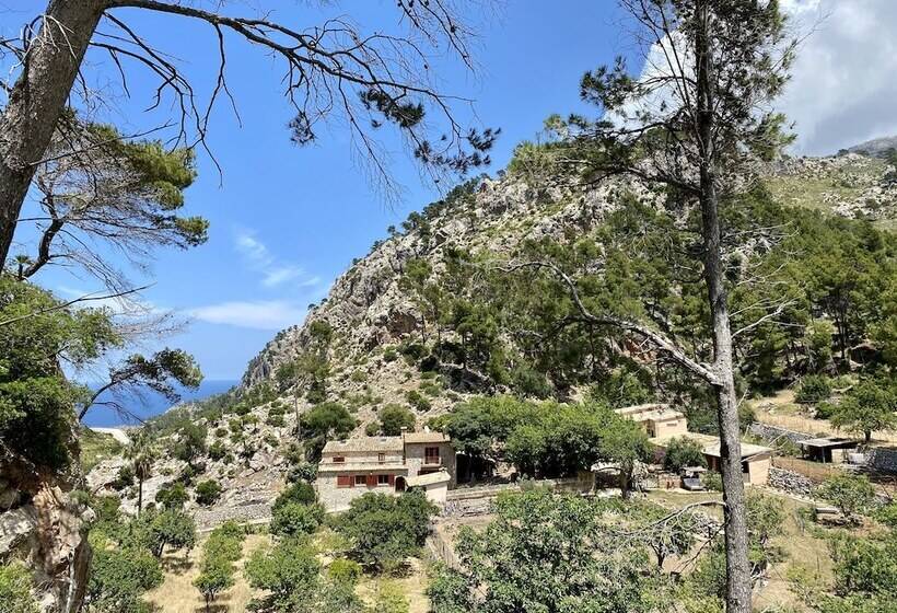 膳宿费 Finca Ses Fontanelles