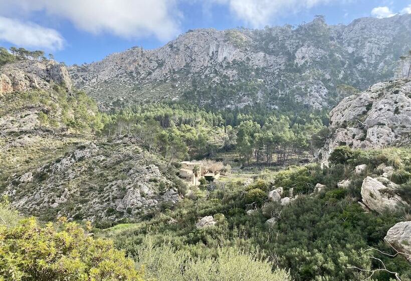 膳宿费 Finca Ses Fontanelles