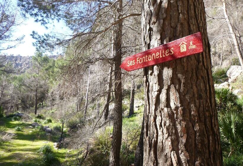 膳宿费 Finca Ses Fontanelles