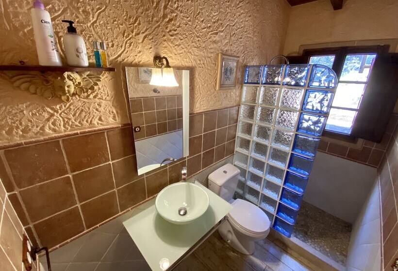 膳宿费 Finca Ses Fontanelles