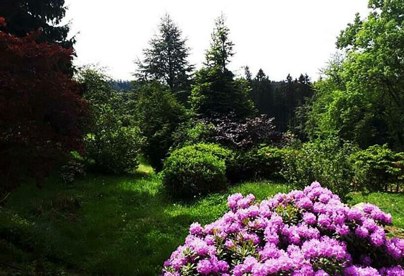 酒店 Green Corner Nürburg