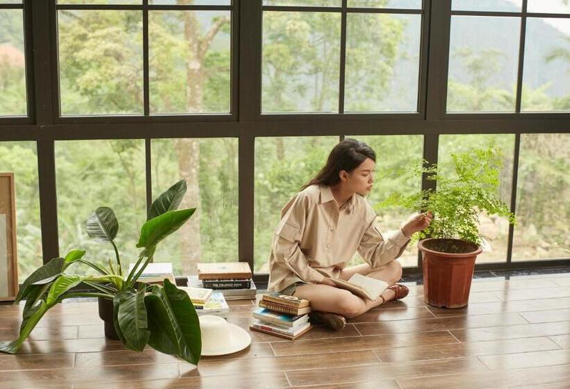 پانسیون Le Vent Tam đảo Homestay