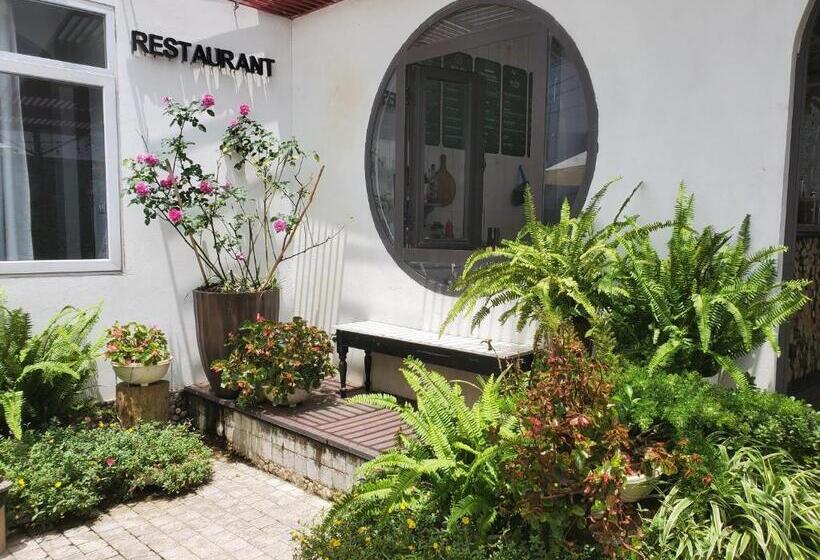 پانسیون Le Vent Tam đảo Homestay