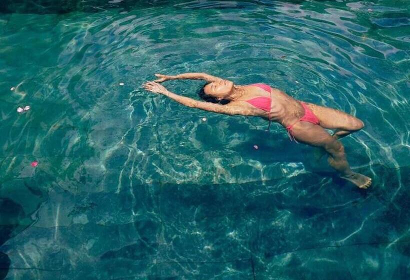 پانسیون Le Vent Tam đảo Homestay