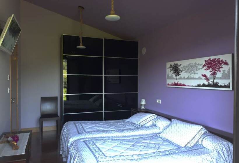 פנסיון Txanpardin