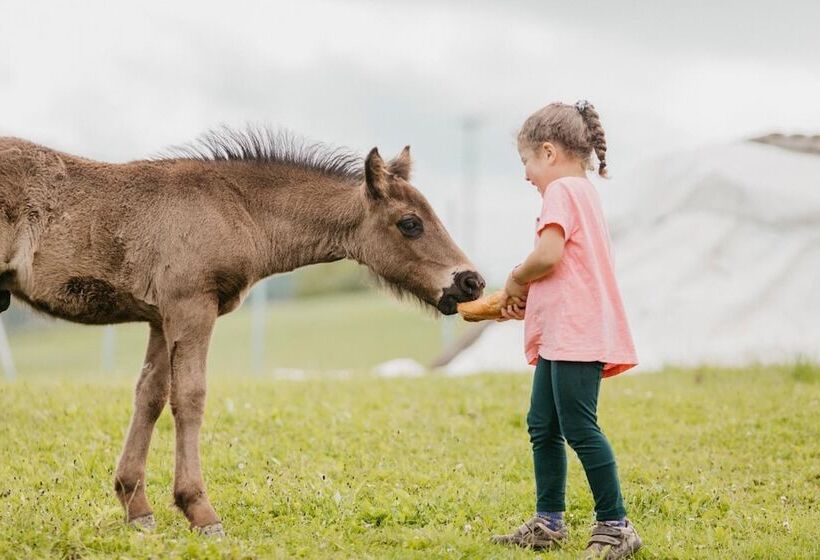 פנסיון Txanpardin