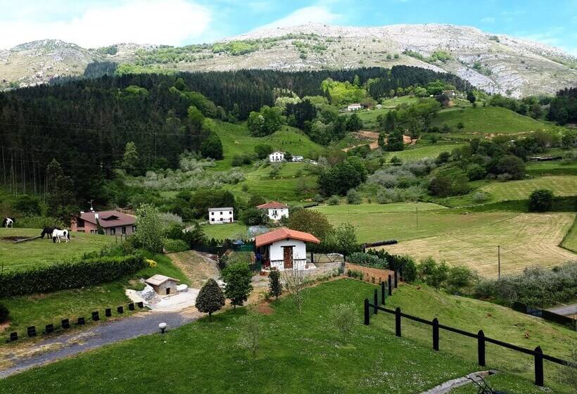 بنسيون Txanpardin
